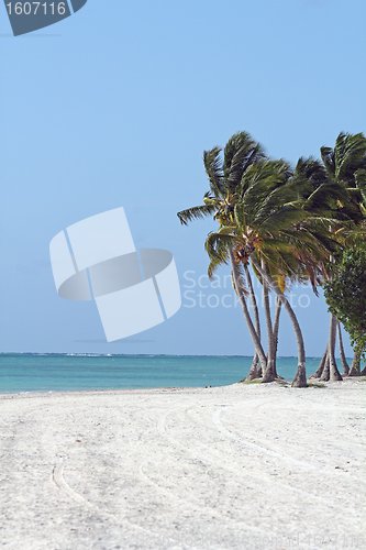 Image of large beach