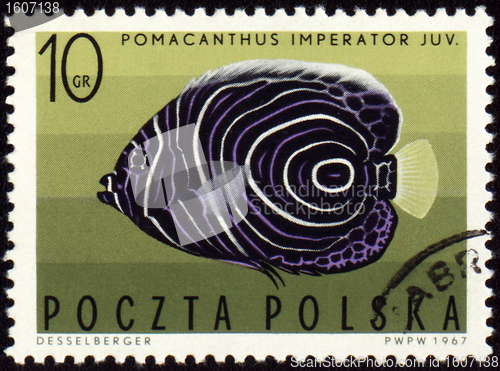 Image of Imperial angelfish (Pomacanthus imperator) on post stamp