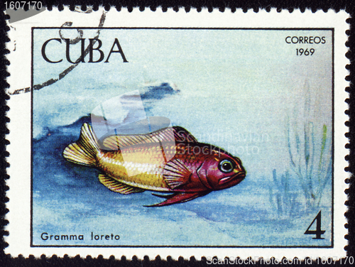 Image of Fish Gramma loreto on post stamp