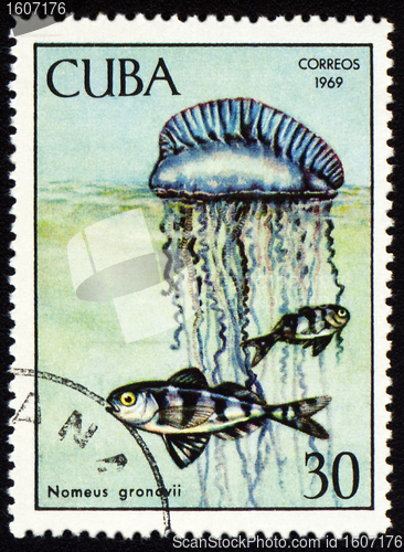 Image of Fish Nomeus gronovii on post stamp