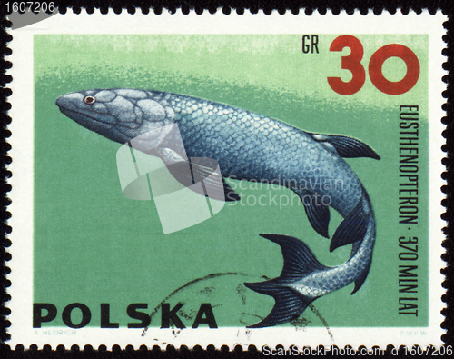 Image of Prehistoric fish Eusthenopteron on post stamp