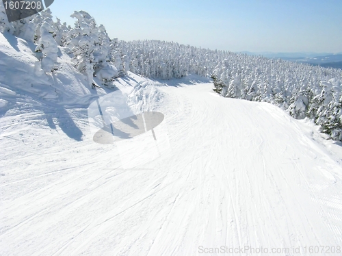 Image of sunny ski trail