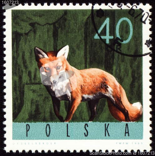 Image of Red fox on post stamp