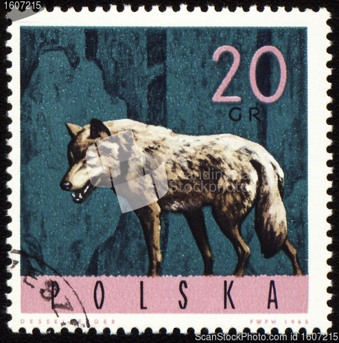 Image of Wolf on post stamp