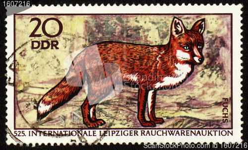 Image of Fox on post stamp