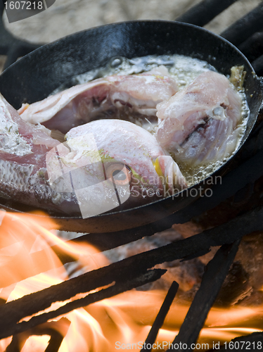 Image of fresh fish cooking in coconut oil wood burning grill Corn Island