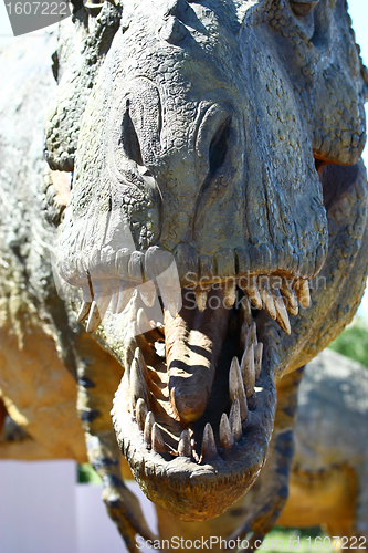 Image of Dinosaur Tyrannosaurus Rex Head