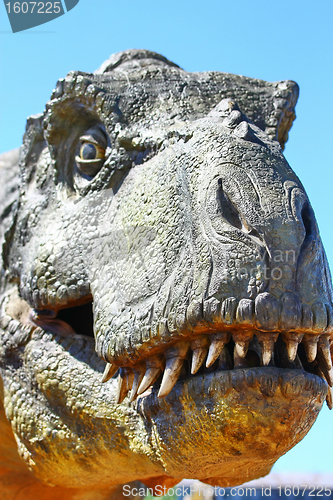 Image of Dinosaur Tyrannosaurus Rex Head