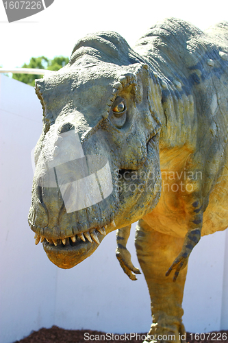 Image of Dinosaur Tyrannosaurus Rex