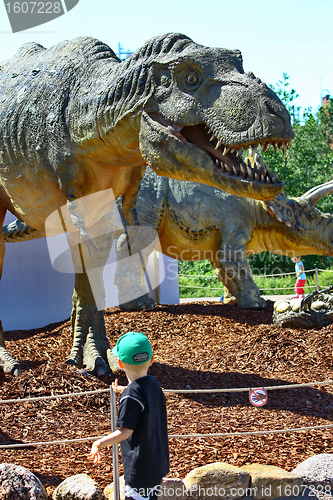 Image of Dinosaur Tyrannosaurus Rex Head