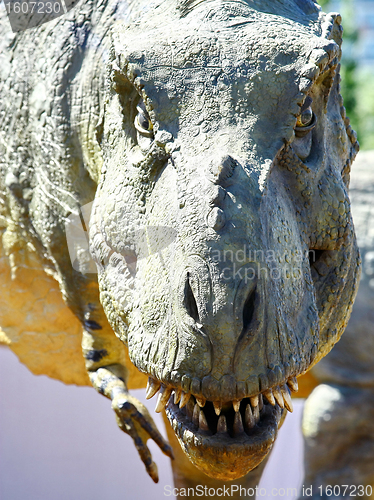 Image of Dinosaur Tyrannosaurus Rex Head