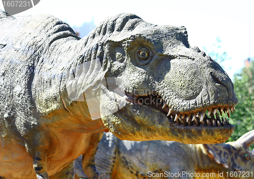 Image of Dinosaur Tyrannosaurus Rex