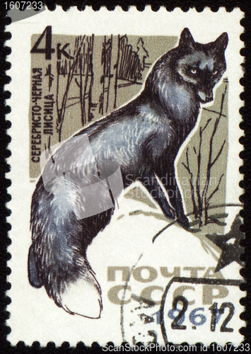 Image of Black fox on post stamp
