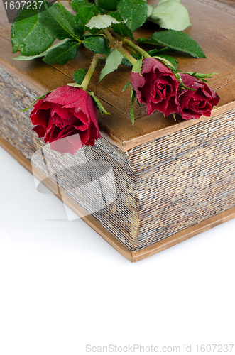 Image of Red roses in a closed book