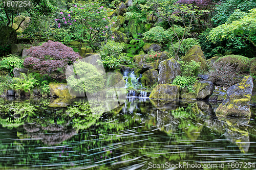 Image of Waterfall at Portland Japanese Garden