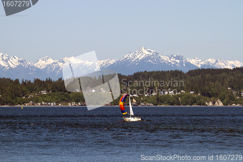 Image of Colorful Sailboat on Puget Sound Olympic Peninsula