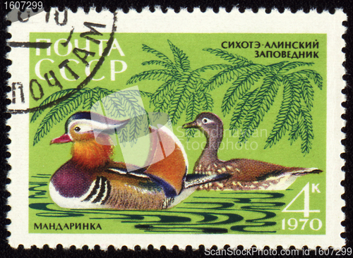 Image of Mandarin ducks on post stamp