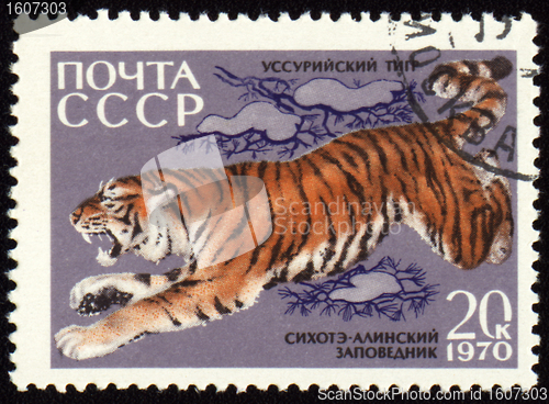 Image of Jumping tiger on post stamp