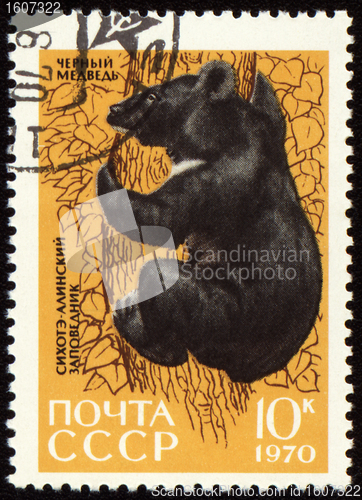 Image of Black bear on post stamp