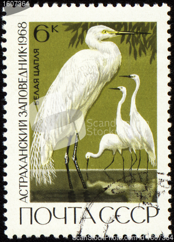 Image of Egret on post stamp