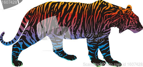 Image of Rainbow in the tiger