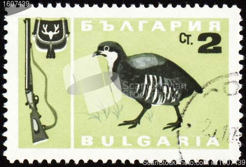 Image of Fowl bird on post stamp