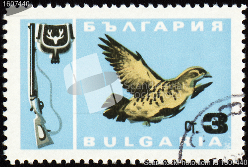 Image of Fowl bird on post stamp