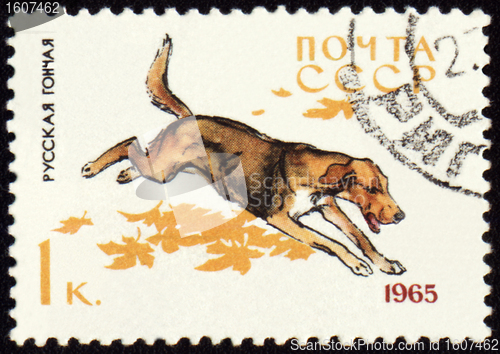 Image of Russian Hound on post stamp