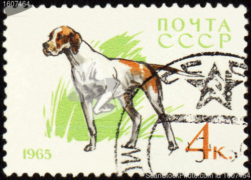 Image of Pointer on post stamp