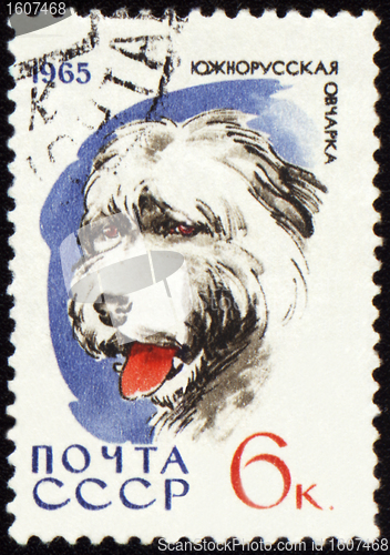 Image of South Russian Shepherd Dog on post stamp
