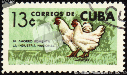 Image of Rooster and hen on post stamp