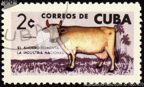 Image of Cow on post stamp