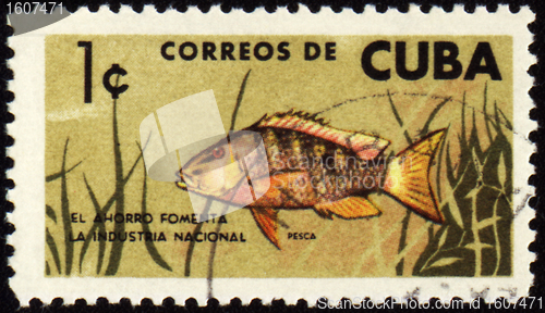 Image of Fish on post stamp