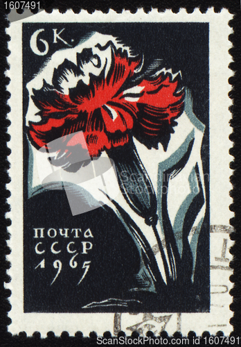 Image of Red carnation flower on post stamp