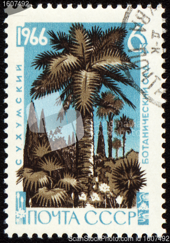 Image of Palm trees in botanical gardens on post stamp