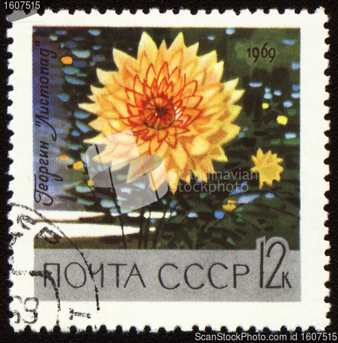 Image of Yellow dahlia on post stamp