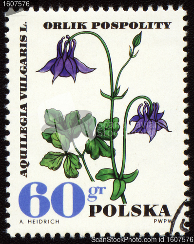 Image of Aquilegia vulgaris on post stamp