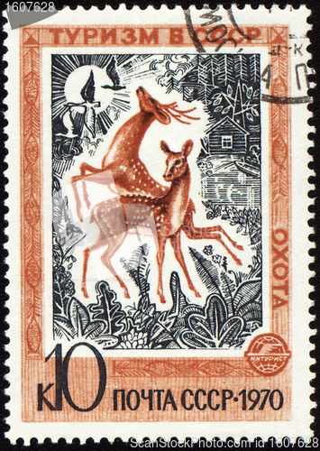 Image of Playing deers on post stamp