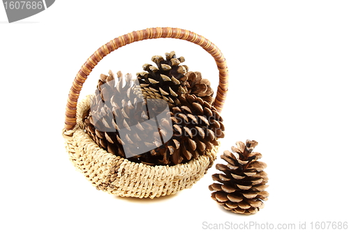 Image of Pine cones in basket.