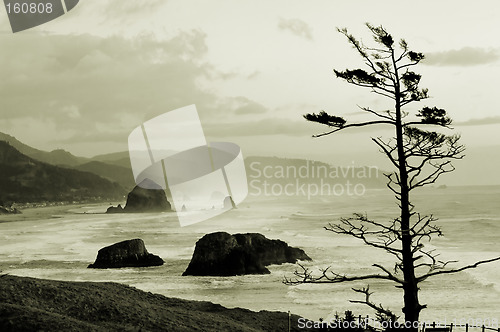 Image of Cannon beach