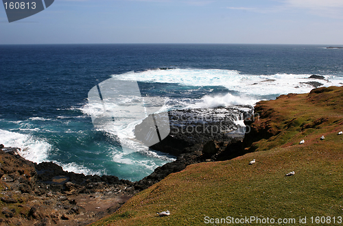 Image of Nobbies and Seal Rocks