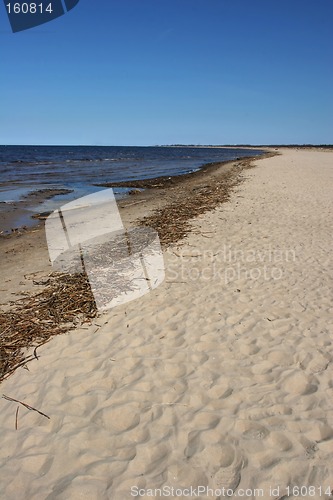 Image of Bulli beach
