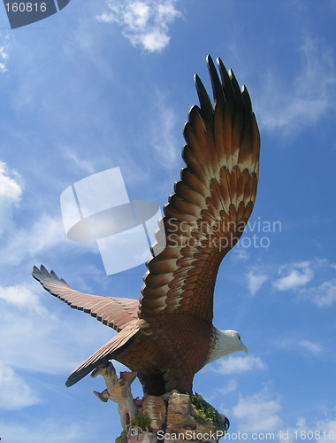 Image of Eagle