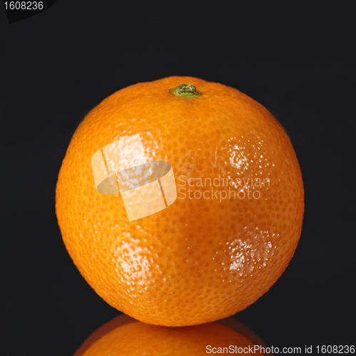 Image of fresh mandarin on black background