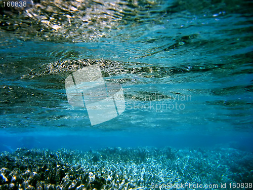 Image of underwater landscape