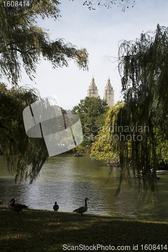 Image of Central Park, New York