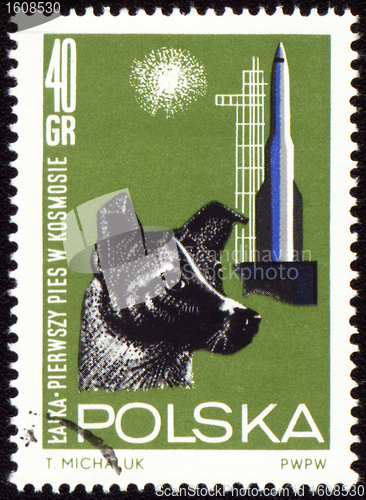 Image of First dog Laika in space on post stamp