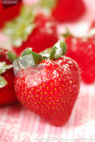 Image of Fresh strawberry with powdered sugar