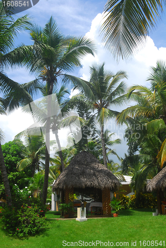 Image of Tranquil massage hut in the tropical Dominican Republic
