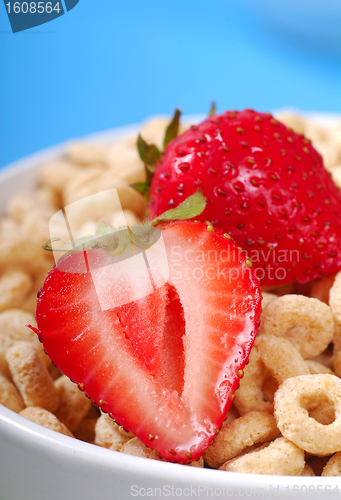 Image of Bowl of oat cereal with strawberries
